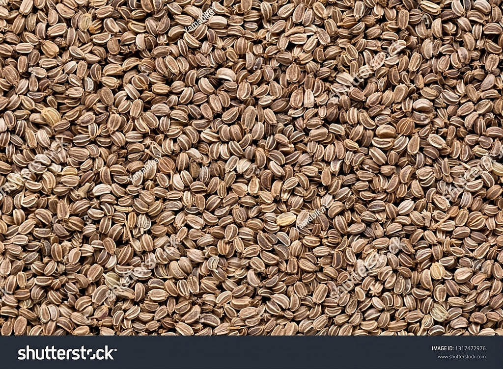 Bibhitaki